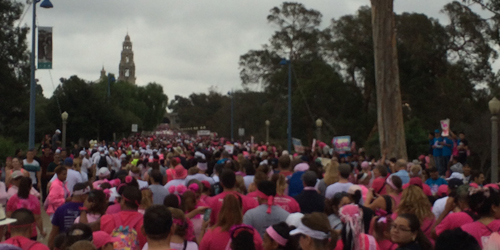People at Making Strides Cancer Awareness walk